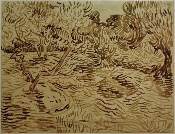 V.van Gogh, Olive Grove / 1889 de Vincent Van Gogh