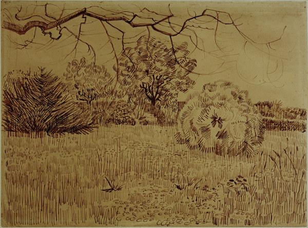 V.v.Gogh, Field w.Shrub / Drawing / 1888 de Vincent Van Gogh