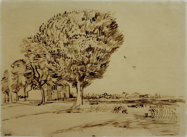 V.v.Gogh, Landscape w.House & Trees/1888 de Vincent Van Gogh
