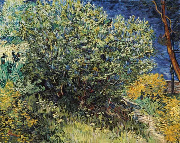 V.v.Gogh / Lilacs / Painting / 1889 de Vincent Van Gogh