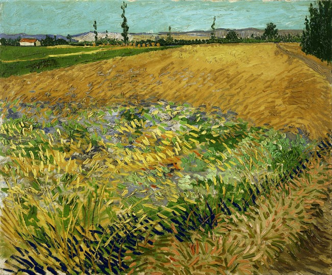 Wheatfield de Vincent Van Gogh