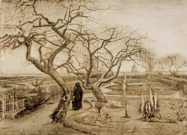 V.van Gogh, Winter Garden / Draw./ 1884 de Vincent Van Gogh