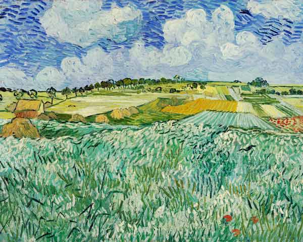 The Plain at Auvers de Vincent Van Gogh