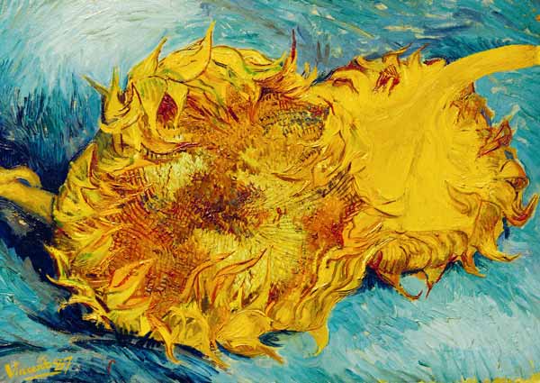 two sunflowers cut off de Vincent Van Gogh