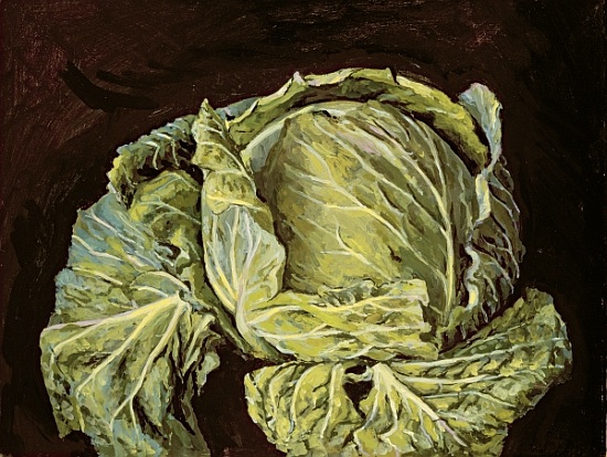 Cabbage Still Life de  Vincent  Yorke