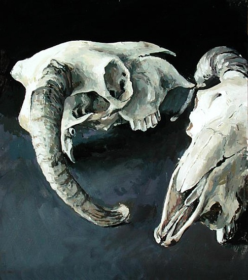 Sheep Skulls de  Vincent  Yorke