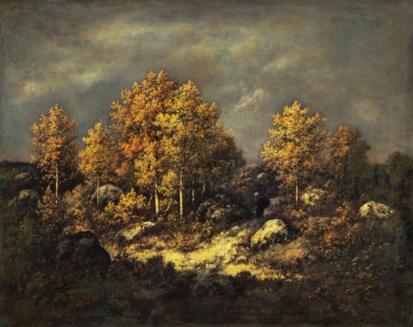 The Jean de Paris Heights in the Forest of Fontainebleau de Virgilio N. Diaz de la Pena
