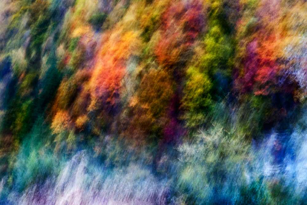 COLORFUL FOREST de Wei He