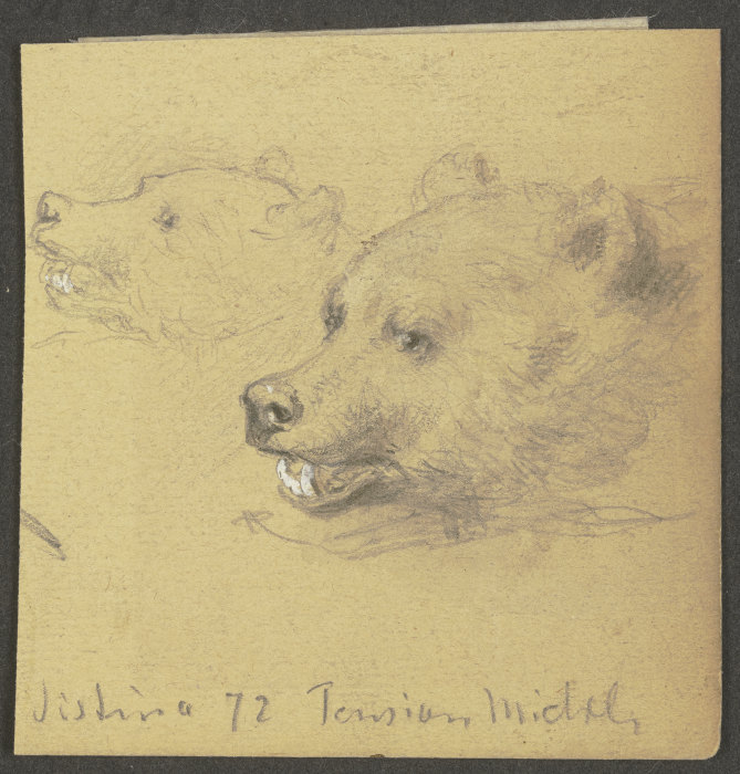 Two bears de Wilhelm Amandus Beer