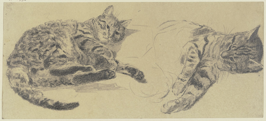 Studies of cats de Wilhelm Gentz