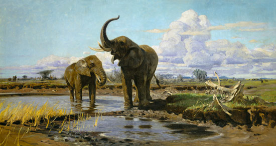 Elephants in the water place de Wilhelm Kuhnert