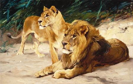 Löwenpaar.