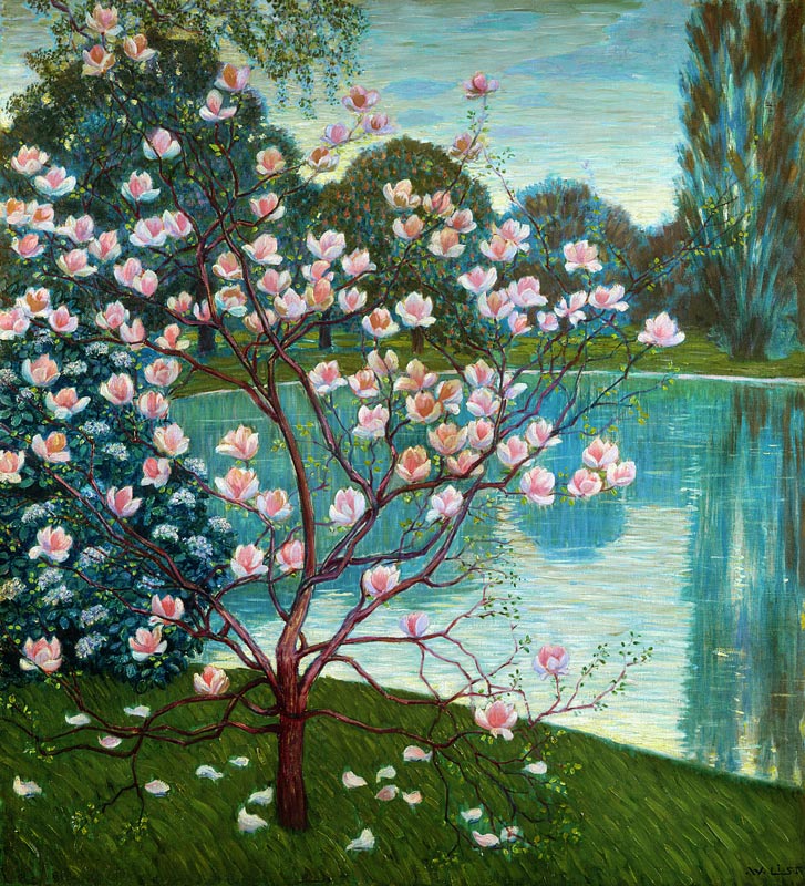 Magnolia de Wilhelm List