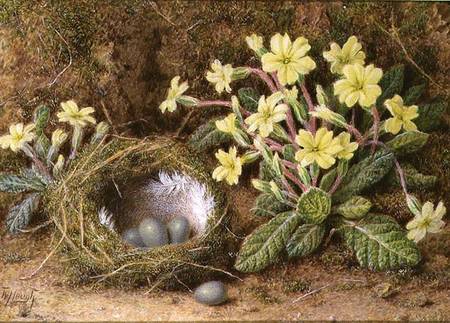 Still Life of Eggs in a Nest and Primroses de William B. Hough