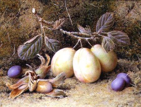 Still Life with plums and nuts de William B. Hough