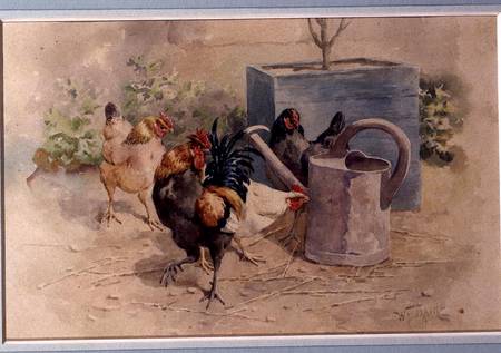 Chickens by a Watering Can (w/c with bodycolour on paper) de William Baptiste Baird