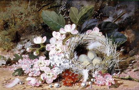 Still Life of Bird's Nest with Primulas de William Cruikshank