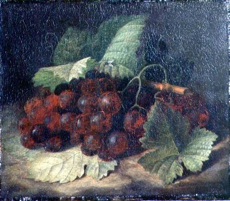 Still Life of Grapes de William Hammer