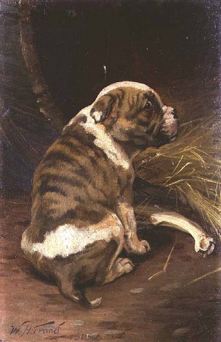 Give a Dog a Bone de William Henry Hamilton Trood