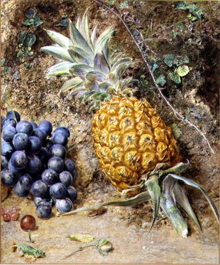 Grapes and a Pineapple de William Henry Hunt
