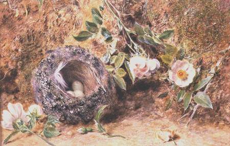 Still Life with Chaffinch Nest de William Henry Hunt