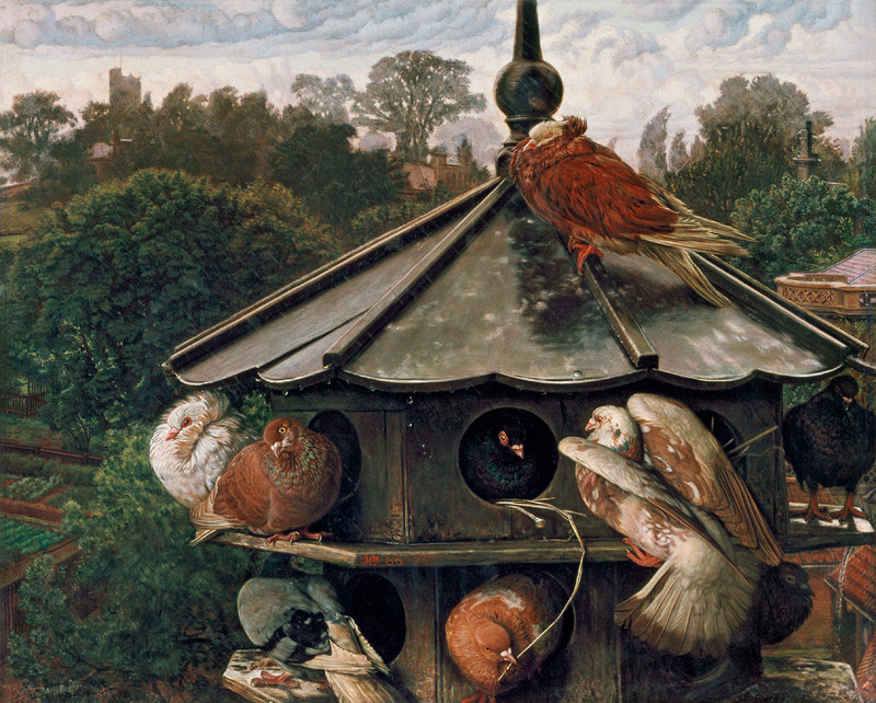The Festival of St. Swithin or The Dovecote de William Holman Hunt