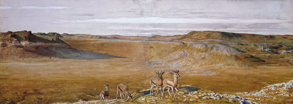The Wilderness of Gizeh de William Holman Hunt