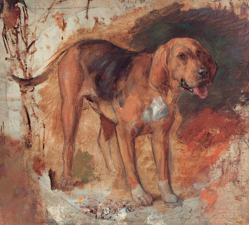 Study of a bloodhound (Studie eines Bluthundes od. Schweißhundes) de William Holman Hunt