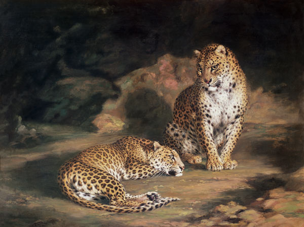 A Pair of Leopards de William Huggins
