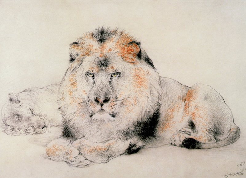 Lion and Lioness de William Huggins