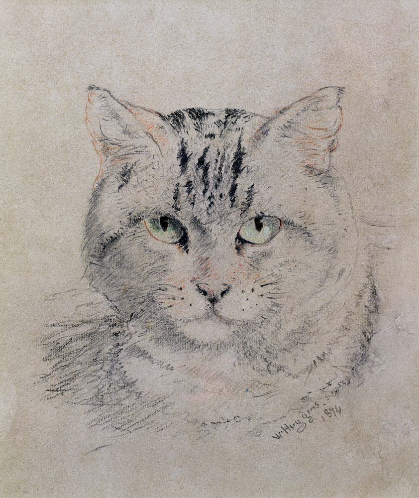 Tabby Cat, 1874 (pencil, crayon and de William Huggins