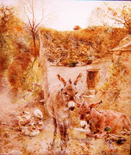 Donkeys and Ducks in a Farmyard de William Huggins
