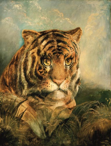 Tiger de William Huggins