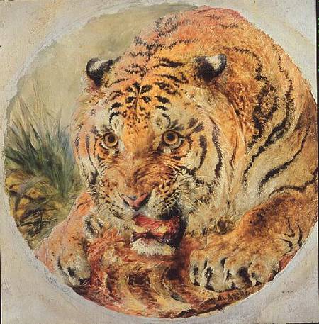 Tiger's Head de William Huggins