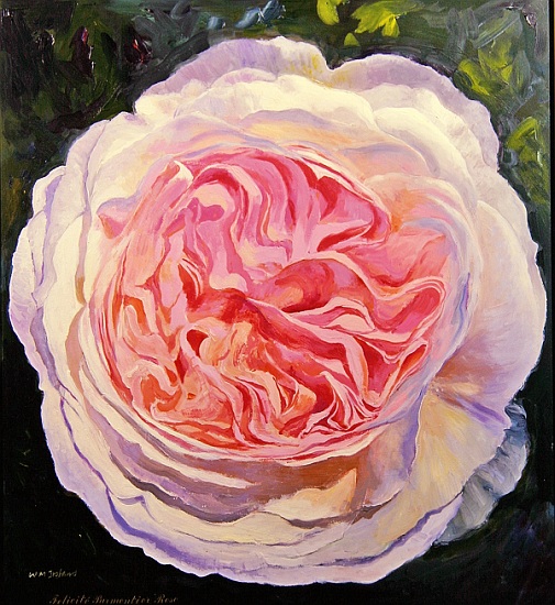 Victorian Rose de William  Ireland