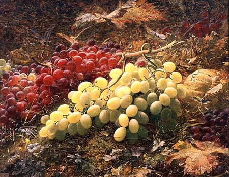Grapes de William Jabez Muckley