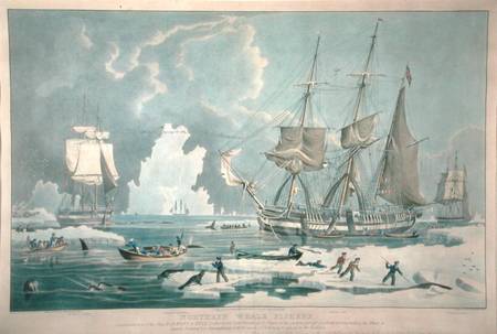 Northern Whale Fishery, engraved by E. Duncan de William John Huggins