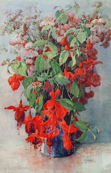 Fushia y Snapdragon en un florero (lápiz y w / c) de William Jordan