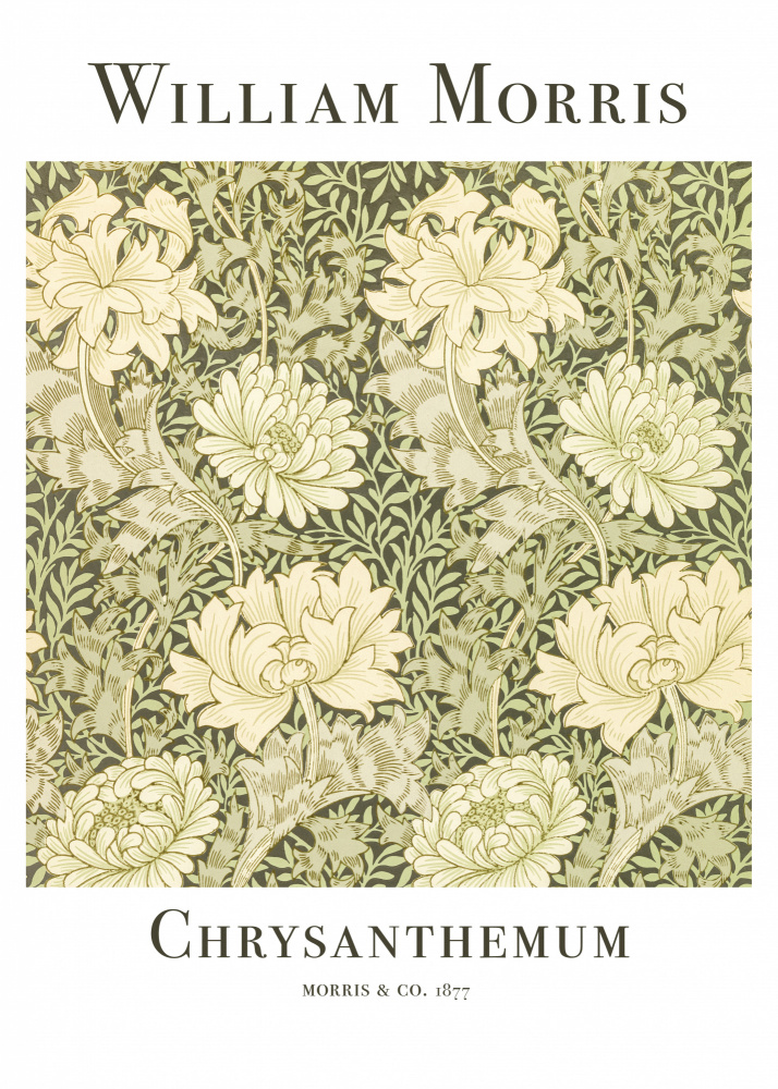 Chrysanthemum de William  Morris