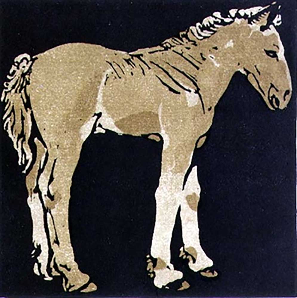 The Growing Colt, from The Square Book of Animals, published by William Heinemann, 1899 de William Nicholson