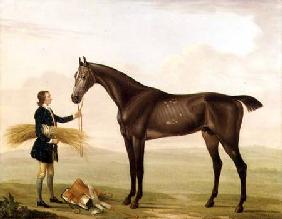A Dapple Grey Stallion held by a Groom