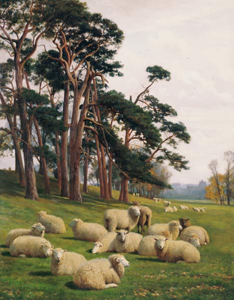 Sunlit Pastures de William Sidney Cooper
