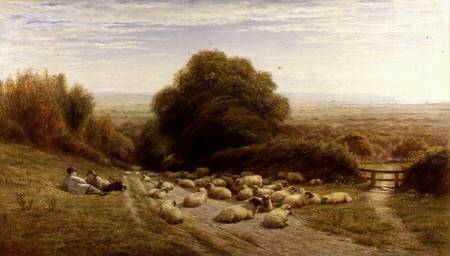 The Sunny Side of a Shepherd's Life - Near Eastbourne de William Snr. Luker