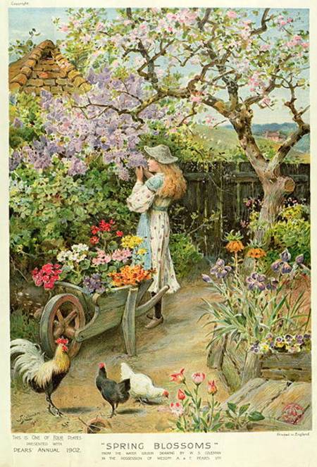 Spring Blossoms, from the Pears Annual de William Stephen Coleman