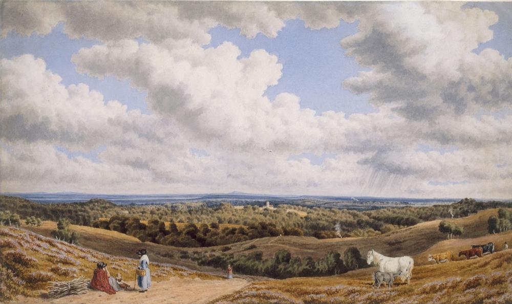 Heath Scene near Minstead in the New Forest looking Towards de William Turner of Oxford