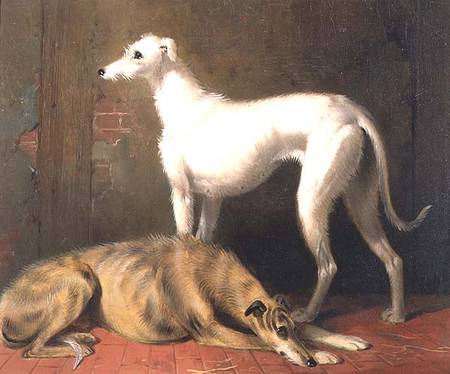Dreaming of the Chase: Scottish Deerhounds de William u. Henry Barraud