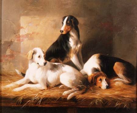 Three Hounds in a Stable de William u. Henry Barraud