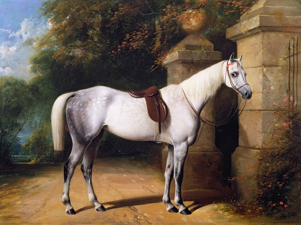 A Grey Horse by Park Gates de William u. Henry Barraud
