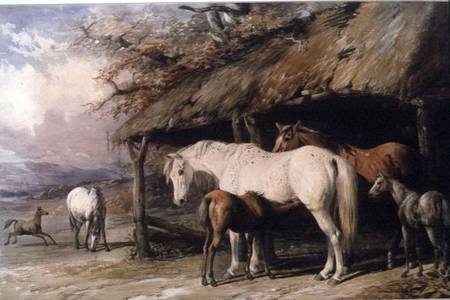 Mares and Foals de William u. Henry Barraud
