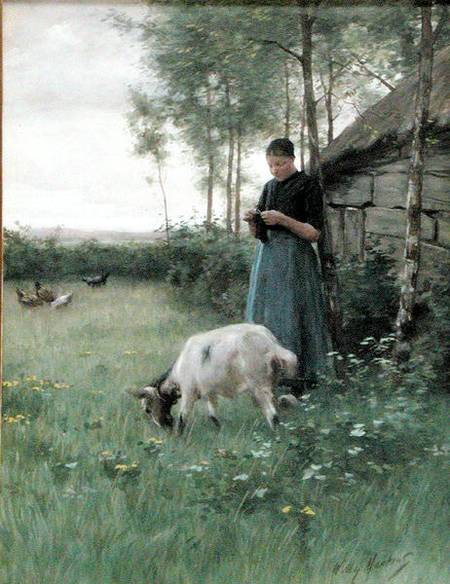 A Dutch girl with goat and chickens de Willy Martens